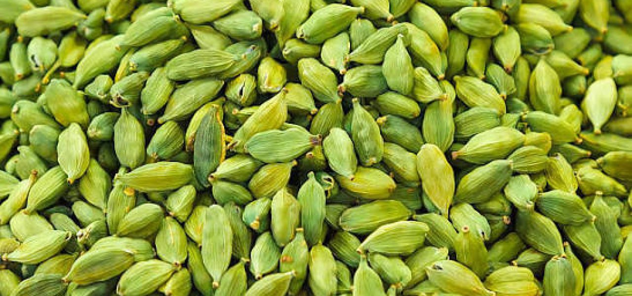 Ceylon Cardamom
