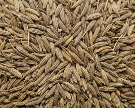 Cummin Seeds