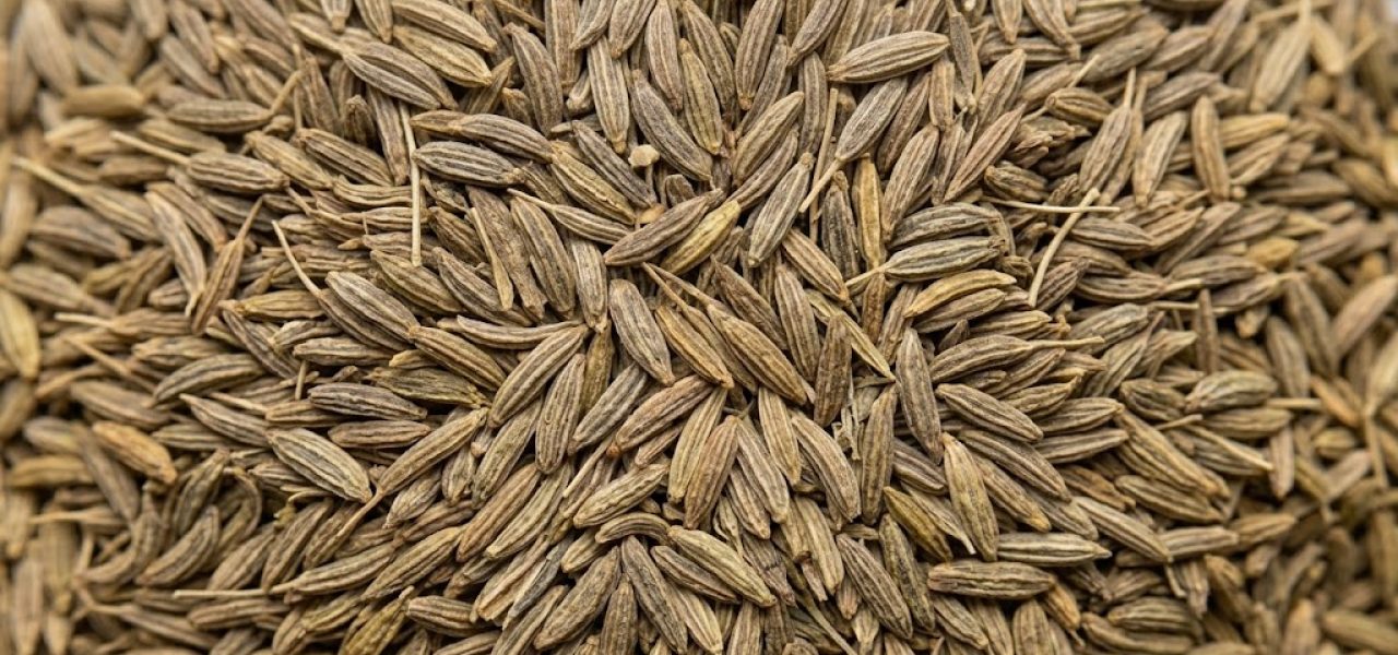 Cummin Seeds