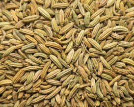 Ceylon_Fennel_Seeds