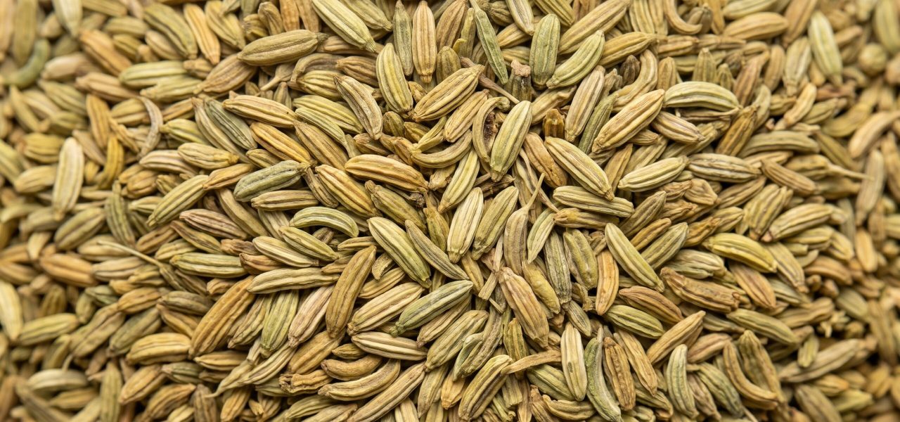 Ceylon_Fennel_Seeds