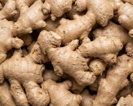 Ginger