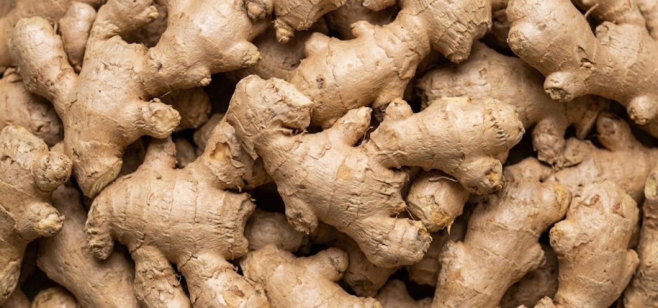Ginger