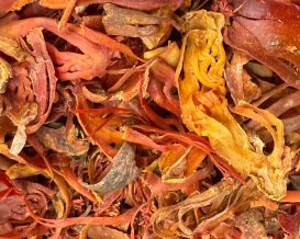 Ceylon Nutmeg