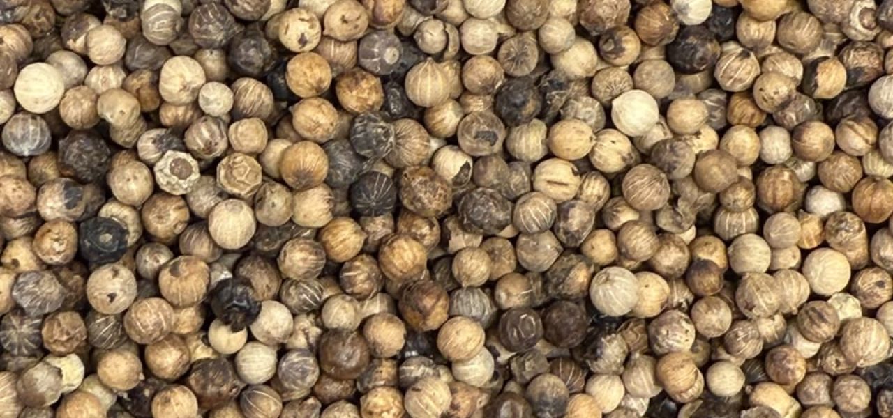 Ceylon White Pepper